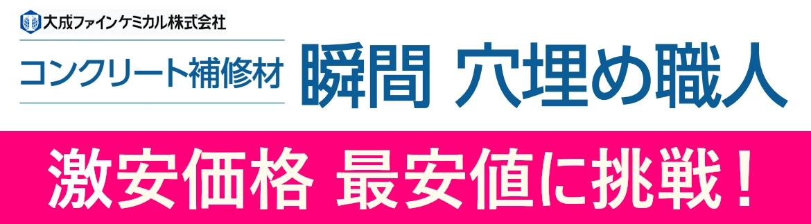 瞬間 穴埋め職人 大成ファインケミカル 激安 価格 安い 格安 最安値 フォトモーション1